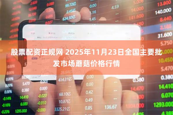 股票配资正规网 2025年11月23日全国主要批发市场蘑菇价格行情