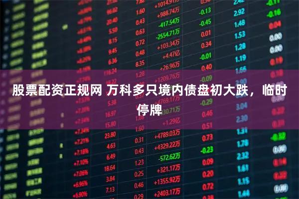 股票配资正规网 万科多只境内债盘初大跌，临时停牌