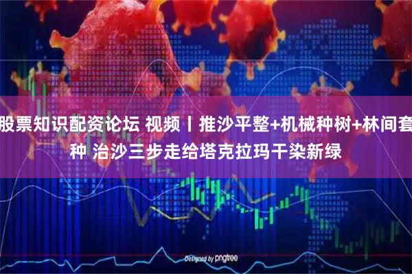 股票知识配资论坛 视频丨推沙平整+机械种树+林间套种 治沙三步走给塔克拉玛干染新绿
